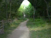 Weekly Christian devotional series: A Light for My Path