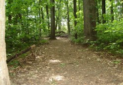 Christian devotional series: A Light for My Path